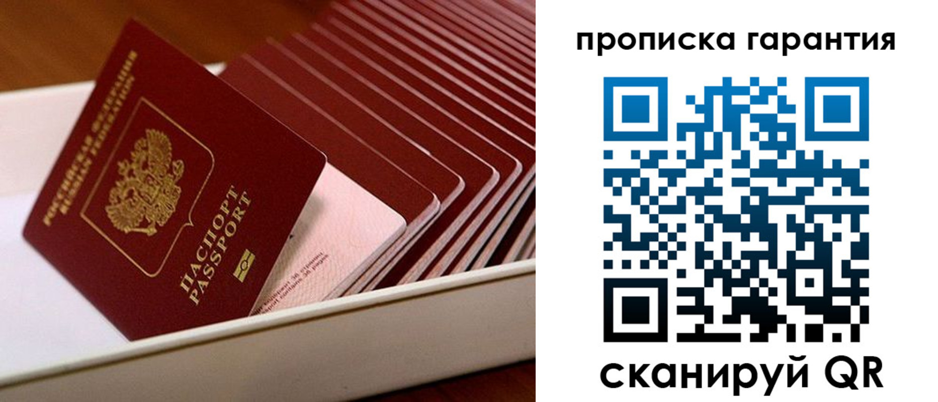 прописка поиск в Орехово-Зуево